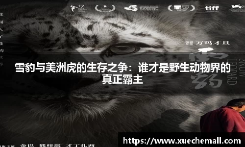 ub8优游平台