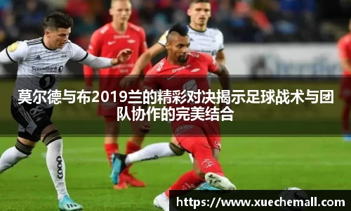ub8优游